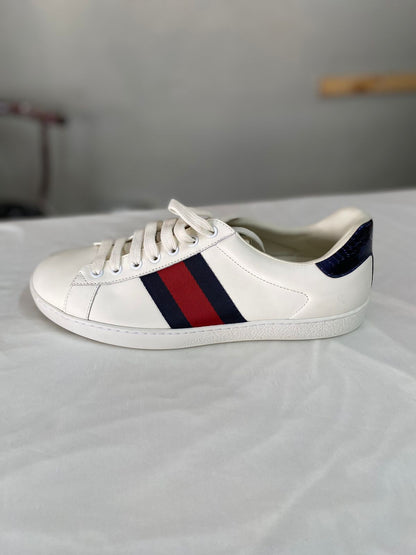 Gucci Ace Sneakers