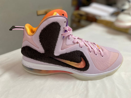Nike Lebron IX Regal Sneakers
